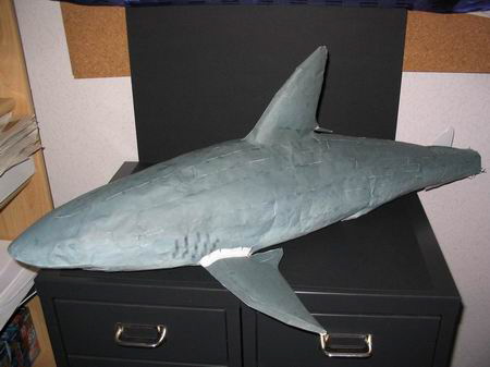 shark00